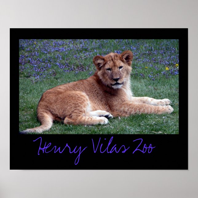 Poster Vilas Zoo Club (Devant)