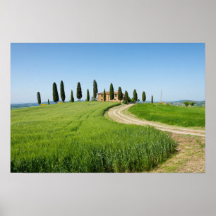 Poster Villa de ferme avec cyprès en Toscane