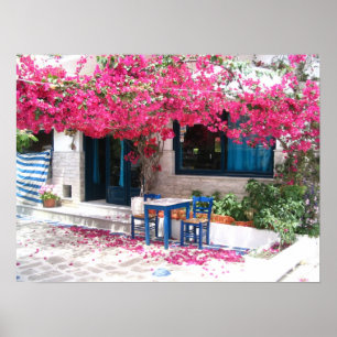 Poster ville de ski bougainvillier 1196