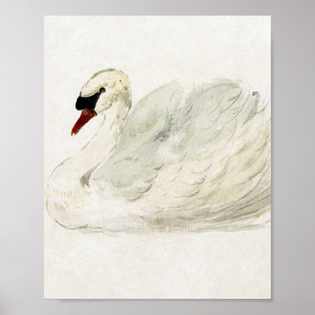 Poster Vin de dessin par Aert Schouman (Devant)