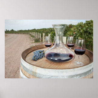 Poster Vin Rouge Dans Le Vignoble