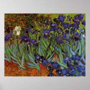 Poster Vincent van Gogh 31