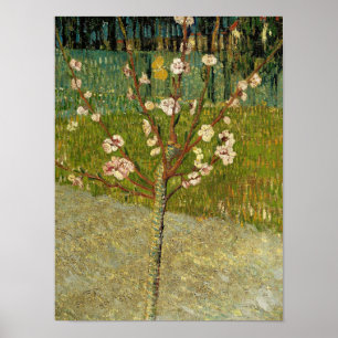Poster Vincent van Gogh - Amandier en fleurs