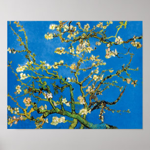 Poster Vincent Van Gogh - Amandier en Fleurs Beaux-Arts