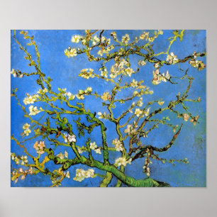 Poster Vincent Van Gogh - Amandier en Fleurs Beaux-Arts