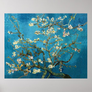 Poster Vincent van Gogh, Arbre aux amandes en fleurs