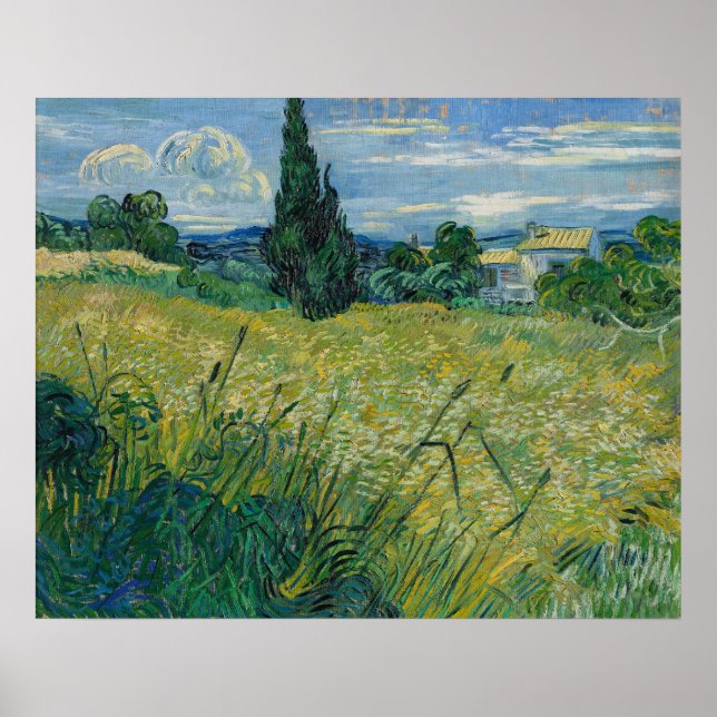 Poster Vincent van Gogh Champ de blé vert avec Cypress (Devant)