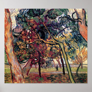 Poster Vincent Van Gogh - Étude de pins Art fin