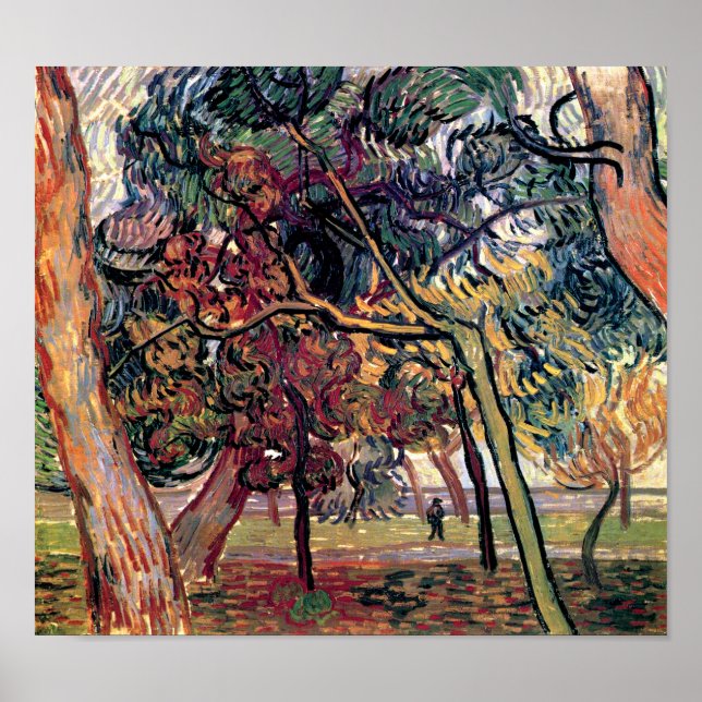 Poster Vincent Van Gogh - Étude Des Pins Art (Devant)