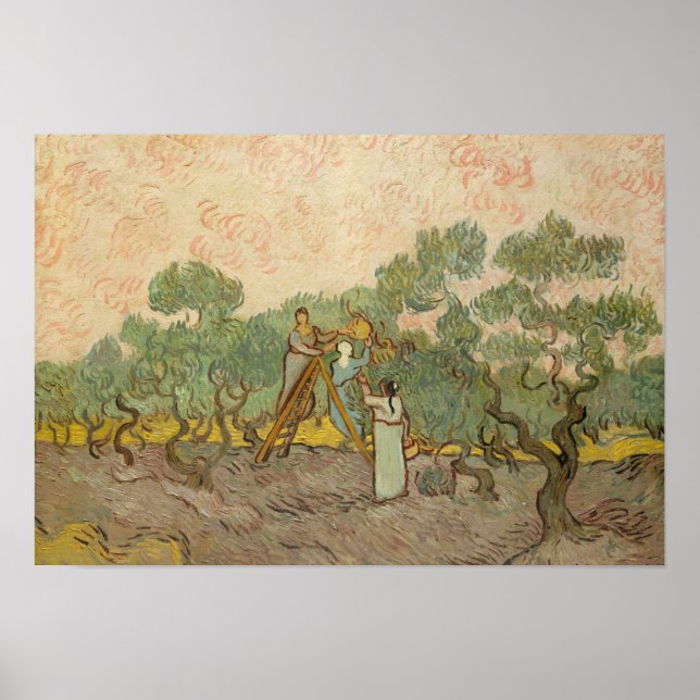 Poster Vincent van Gogh - Femmes cueillette d'olives (Devant)