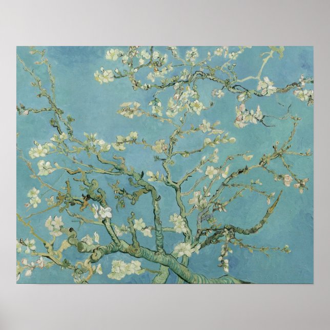 Poster Vincent van Gogh - Fleur d'amandes (Devant)