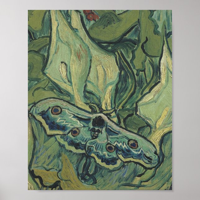 Poster Vincent Van Gogh - Grand Moth Peacock (Devant)
