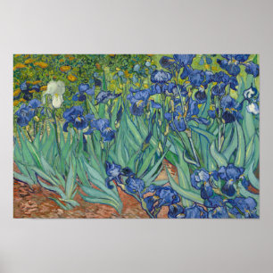 Poster Vincent van Gogh - iris