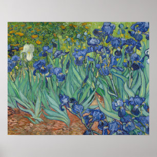 Poster Vincent van Gogh - Irises