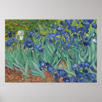 Vincent van Gogh - Irises