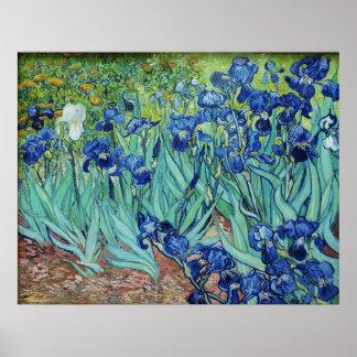 Poster Vincent van Gogh, Irises.