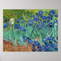 Vincent Van Gogh - Irises