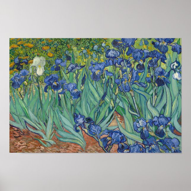 Poster Vincent van Gogh - Irises (Devant)