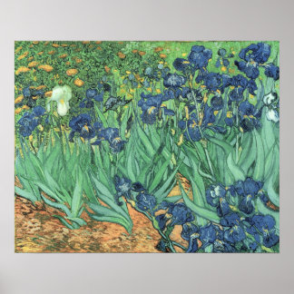 Poster Vincent van Gogh | Irises, 1889