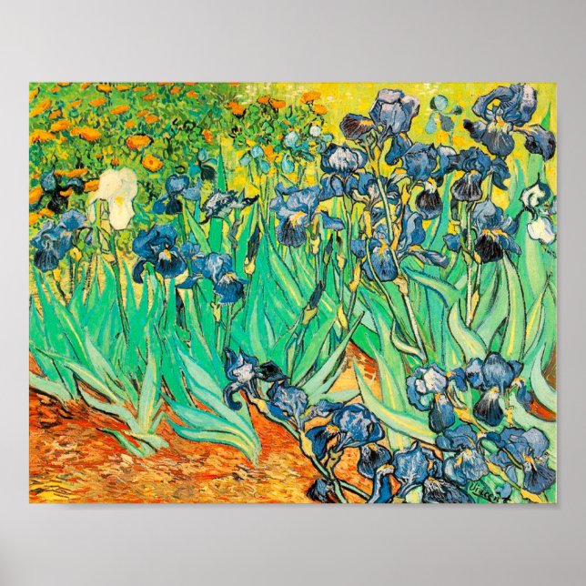 Poster Vincent van Gogh Irises 1889 Fleurs bleues (Devant)