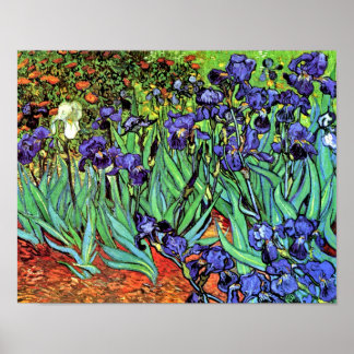 Poster Vincent Van Gogh - Irises - Art de l'amour des fle
