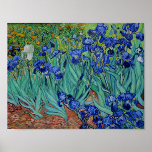 Poster Vincent Van Gogh Irises Vibrant Flower Art