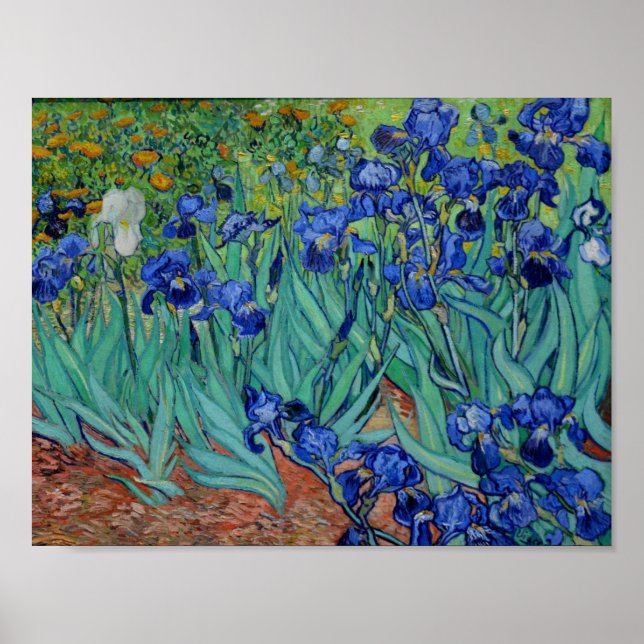 Poster Vincent Van Gogh Irises Vibrant Flower Art (Devant)