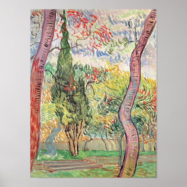Poster Vincent van Gogh | Le jardin de l'hôpital St. Paul (Devant)