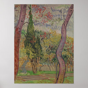 Poster Vincent van Gogh   le parc à St Paul