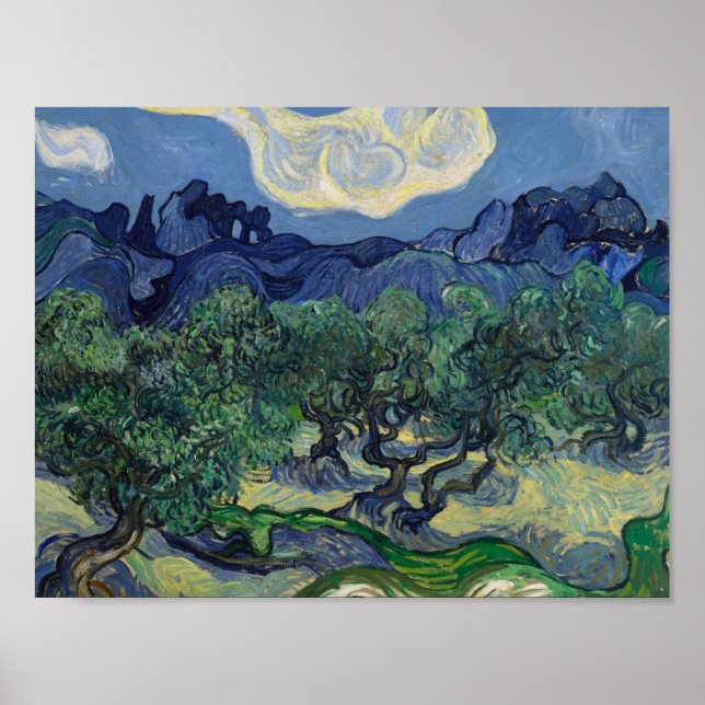 Poster Vincent van Gogh - Les oliviers (Devant)