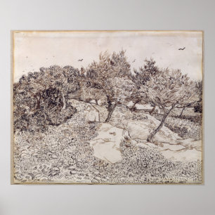 Poster Vincent van Gogh   Les Oliviers