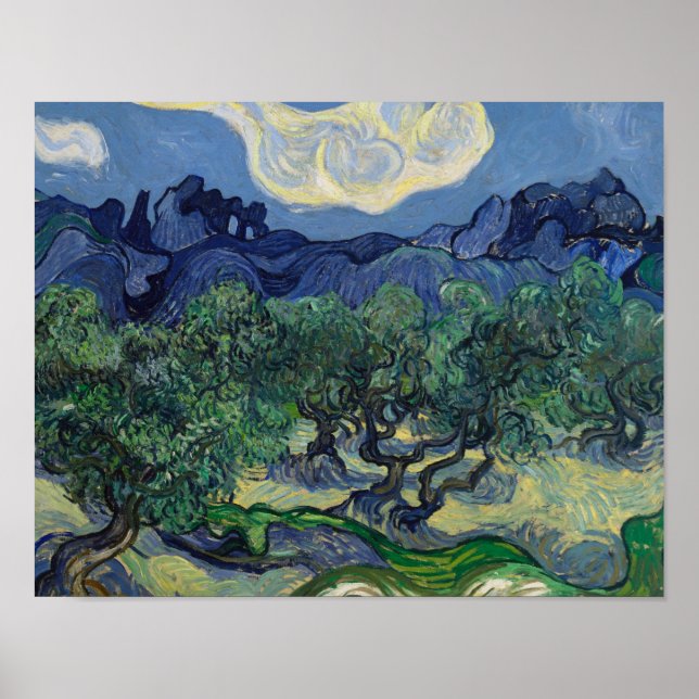 Poster Vincent van Gogh - Les oliviers (Devant)