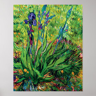 Poster Vincent Van Gogh - L'Iris - Art de la pop pop sur 
