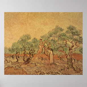 Poster Vincent van Gogh L'olivier, 1889