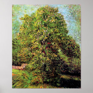 Poster Vincent Van Gogh - Marronnier en Fleurs