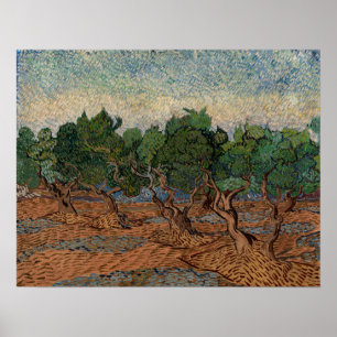 Poster Vincent van Gogh - Olive Grove