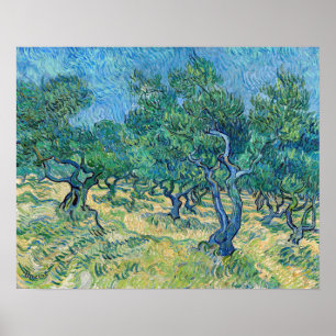 Poster Vincent van Gogh - Olive Grove