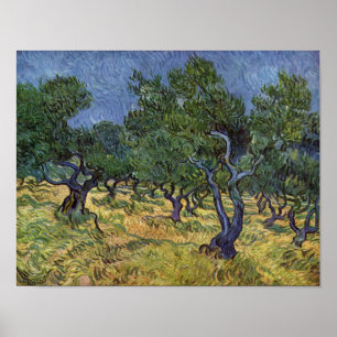 Poster Vincent van Gogh - Olive Grove