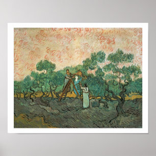 Poster Vincent van Gogh   Olive Pickers, Saint-Remy