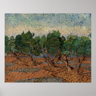 Poster Vincent van Gogh - Oliveraie