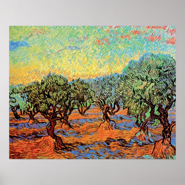 Poster Vincent Van Gogh - Oliveraie sous un ciel orange (Devant)