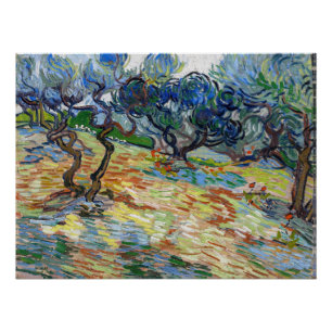 Poster Vincent van Gogh - Oliviers : Ciel bleu brillant