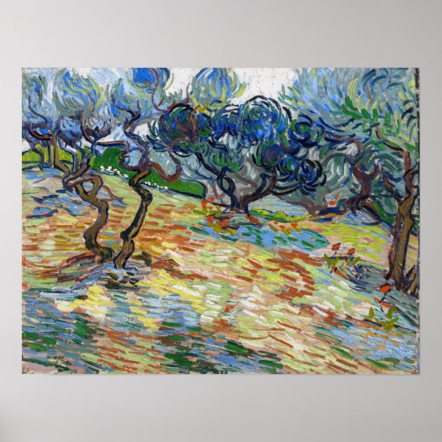 Poster Vincent van Gogh - Oliviers : Ciel bleu vif (Devant)