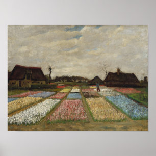 Poster Vincent van Gogh - Parterres de fleurs en Hollande