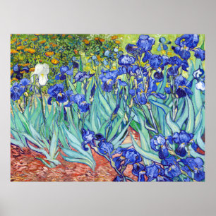 Poster Vincent Van Gogh peignant les Iris
