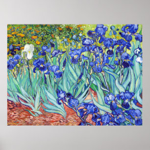 Poster Vincent Van Gogh peignant les Iris