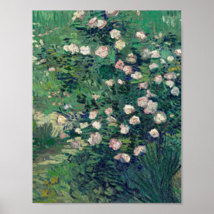 Poster Vincent Van Gogh - Rosebush à Blossom