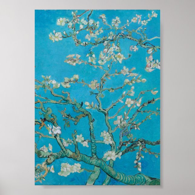 Poster Vincent Van Gogh - Succursales aux amandes (Devant)