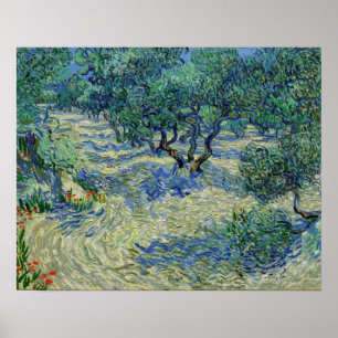 Poster Vincent van Gogh - Verger d'oliviers