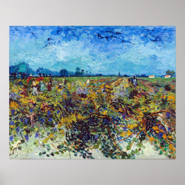 Poster Vincent van Gogh - Vignoble vert (Devant)
